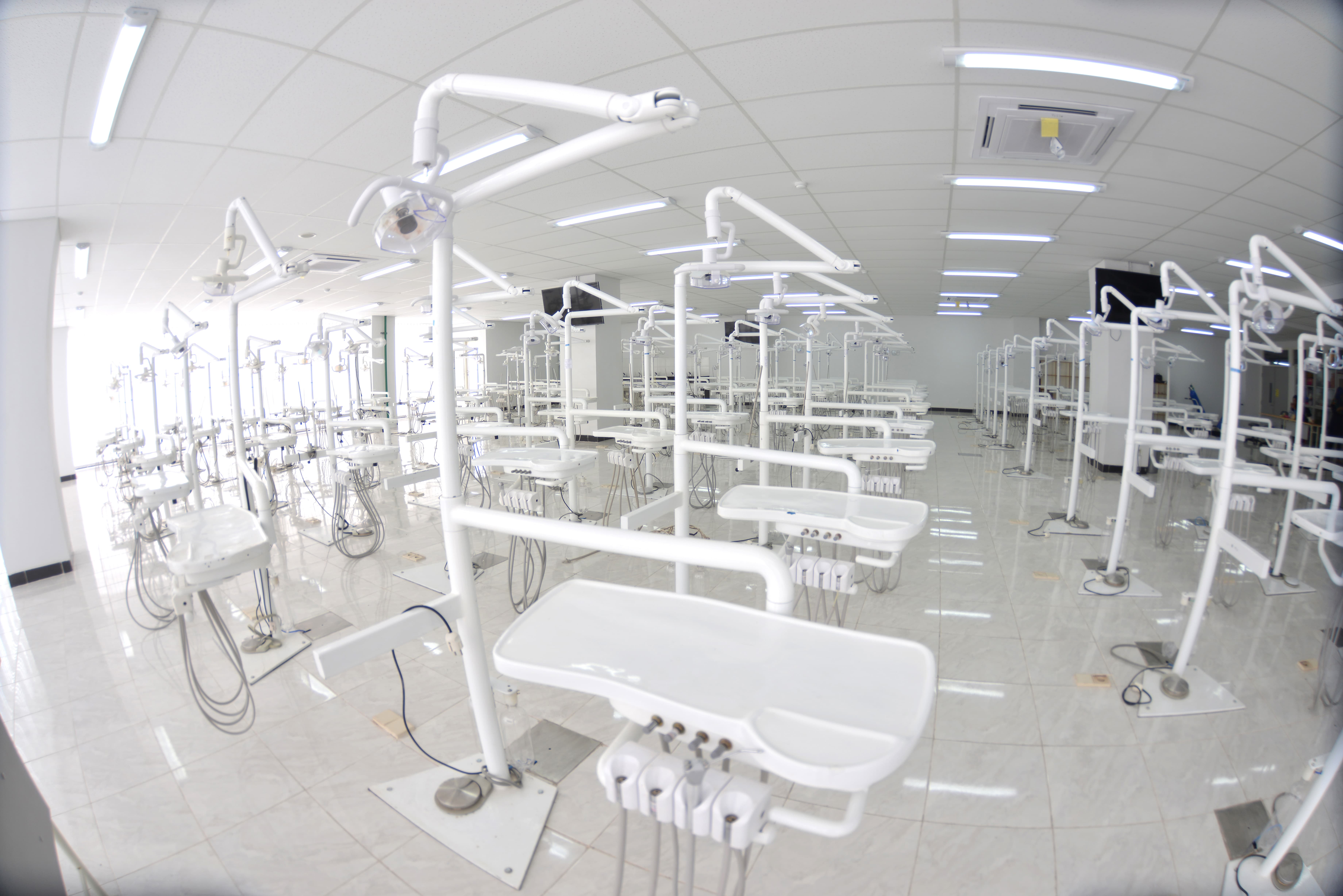 Lab Dental Simulator